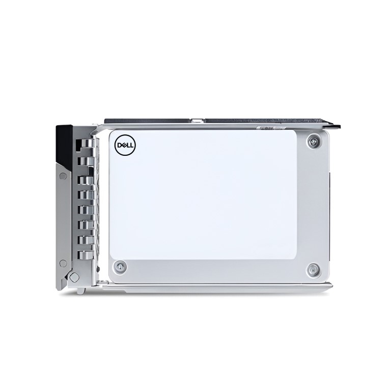 Converse Training Shoes