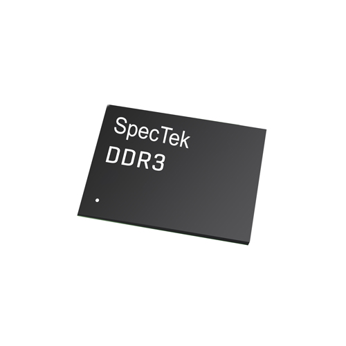 Converse Training Shoes