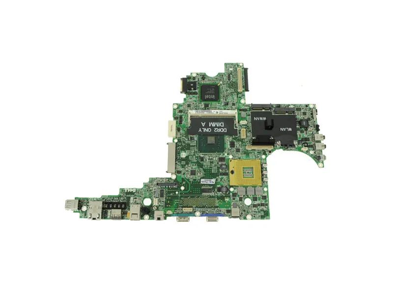 Converse Training Shoes