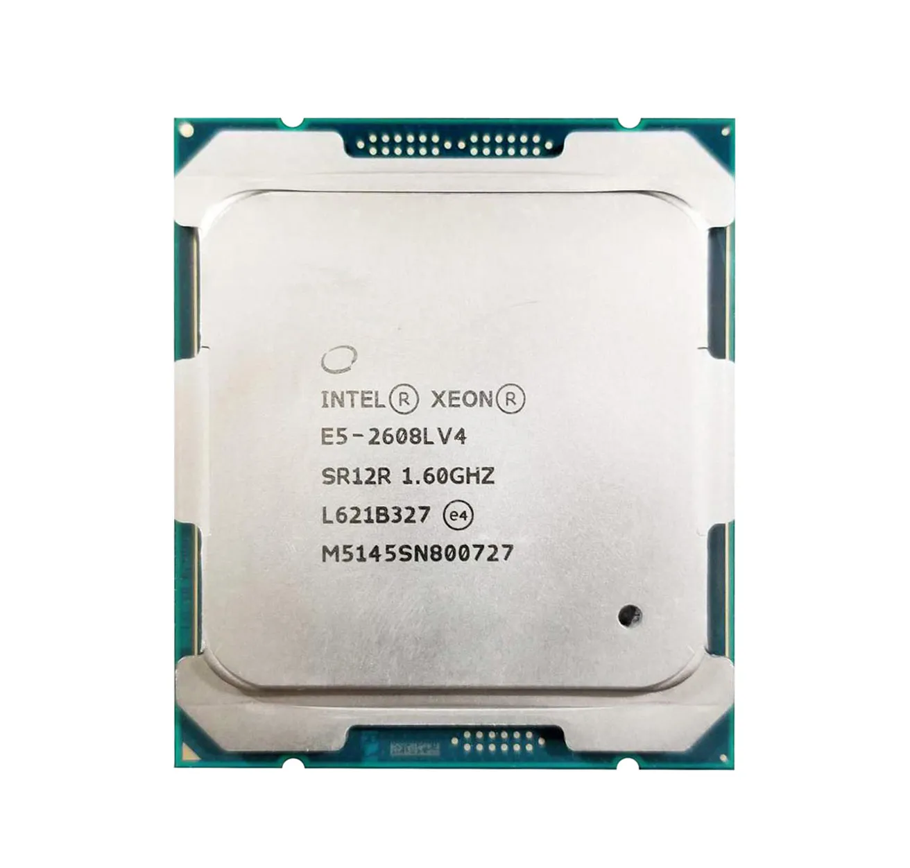 Converse Training Shoes