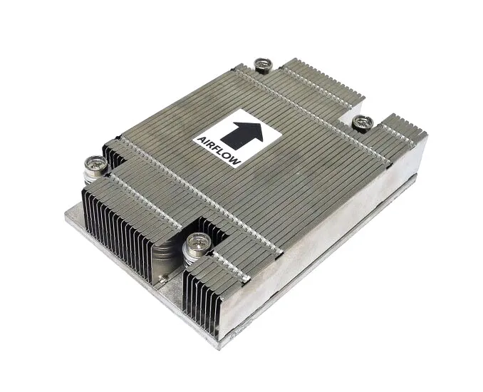 Converse Training Shoes